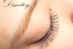 DSC_2153.jpg1_.jpg160